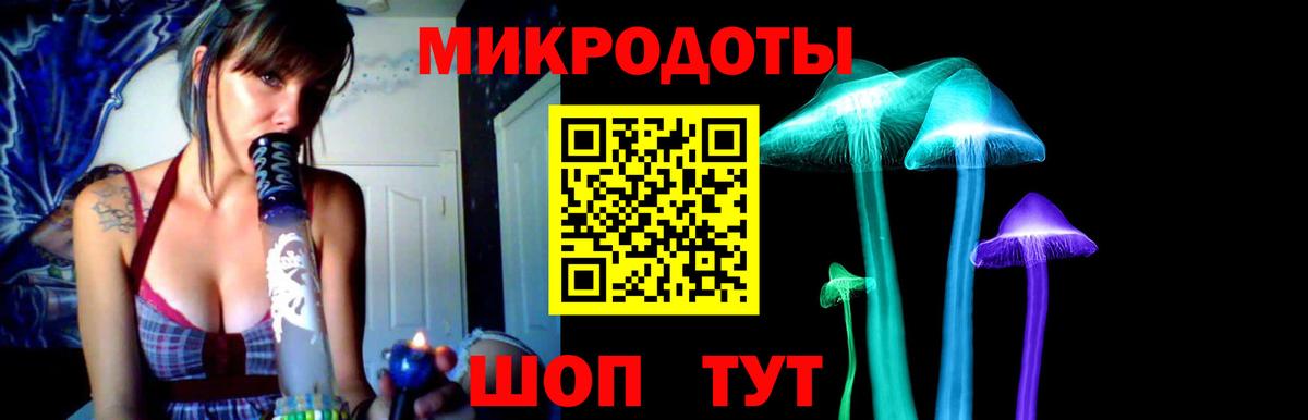 Псилоцибиновые грибы Psilocybine cubensis Ялуторовск